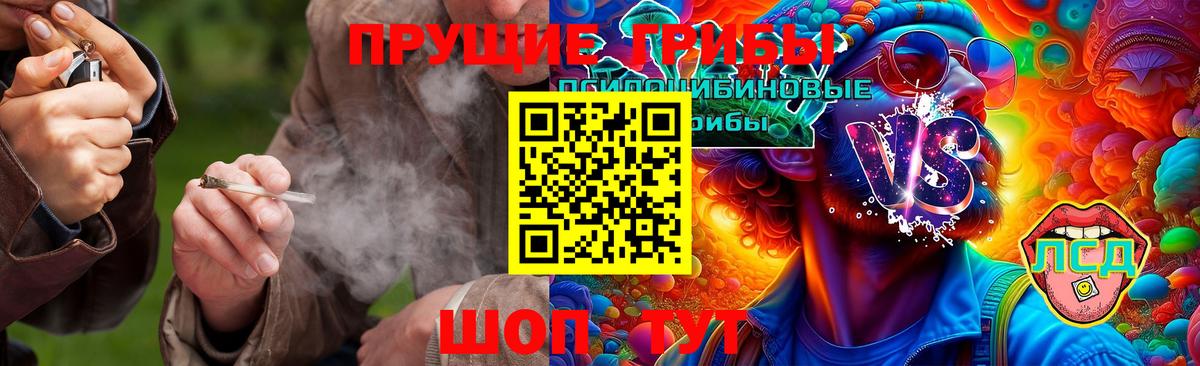 Псилоцибиновые грибы MAGIC MUSHROOMS  Вход с VPN  Псилоцибиновые грибы ЛСД  Похвистнево 
