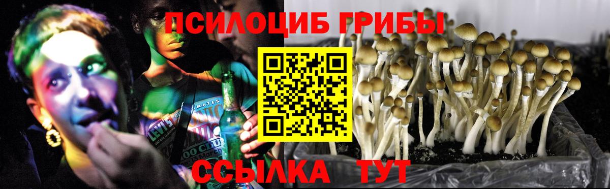 Псилоцибиновые грибы прущие грибы Похвистнево